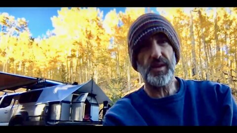 What's WRONG with Aspen Trees This Year??? Colorado Autumn Colors - Off-Grid 4x4 #VanLife in a Truck