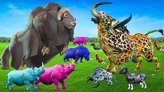 Gaint Buffalo VS Gaint Bull Saved Cartoon Cows Family Epic Cartoon Buffalo Animal Epic Battle