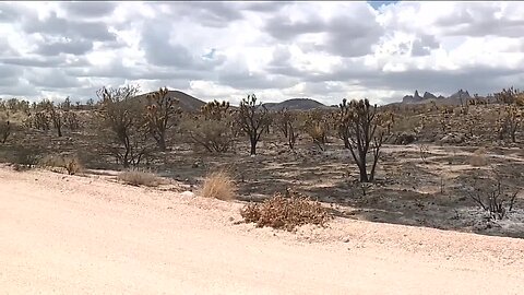 80k acre York wildfire continues to ravage Mojave National Preserve, containment at 23%