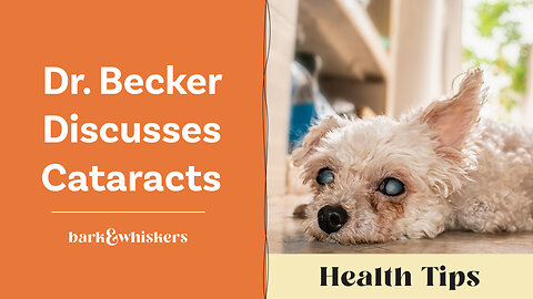Dr. Becker Discusses Cataracts
