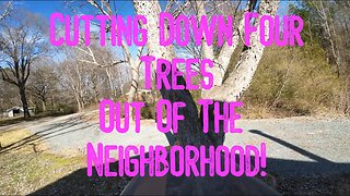 Cutting Down Four Trees In One Day!