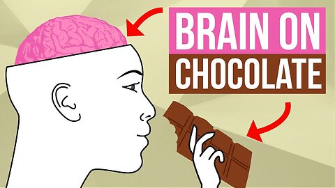 Your Brain On Chocolate