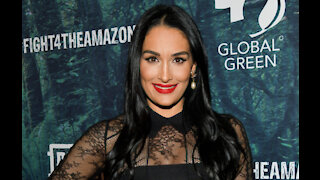 Nikki Bella has defends her controversial work life balance