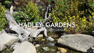 Hadley Gardens Waterfall | Beautiful Nature and Calming Waterfall Sounds, 4K Zen Video