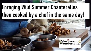 Foraging Wild Mushrooms and they're cooked by a chef in the same day!