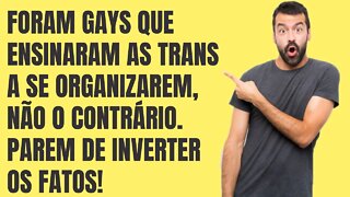 GAYS QUE ENSINARAM AS TRANS A SE ORGANIZAREM, NÃO O CONTRÁRIO!