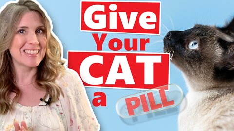 HOW TO Give Your CAT a PILL *Updated 2022* NEW TIPS!