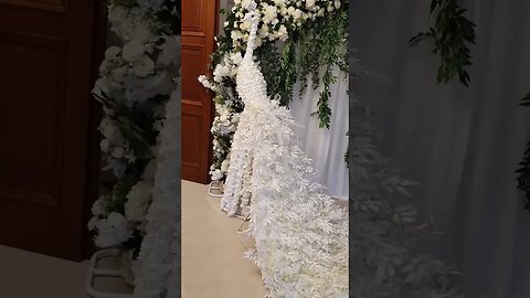 Do you like White Peacock Wedding Theme - White Decorations backdrop #short