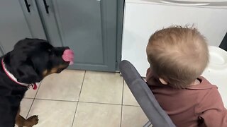 Are Rottweilers Safe To Have Around Children?