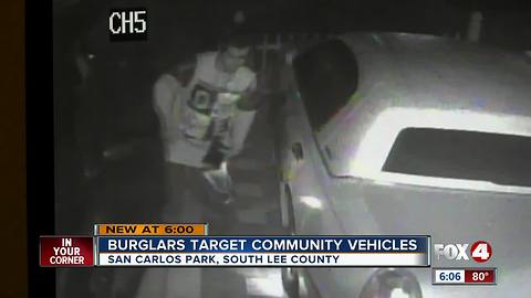 Car burglar caught on camera in San Carlos Park