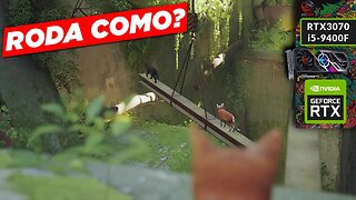 Stray - Roda Como? | 2K 60FPS (PT-BR)