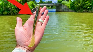 This WORM Saved the Day!! (Dock Fishing Summer Bass)