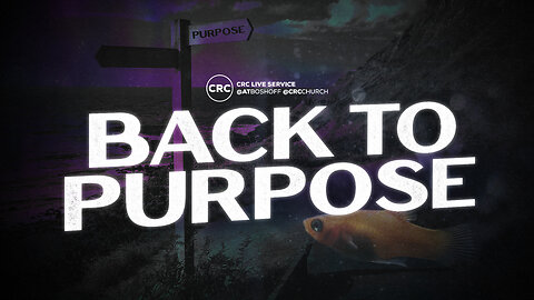 Back To Purpose | Pastor At Boshoff | 11 August 2024 AM