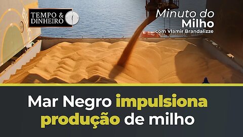 Milho ganhando fôlego do Mar Negro