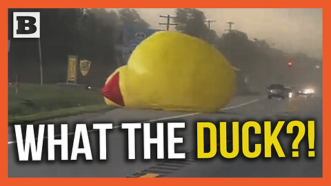 What the DUCK?! Giant Inflatable Duck Bounces Across Road