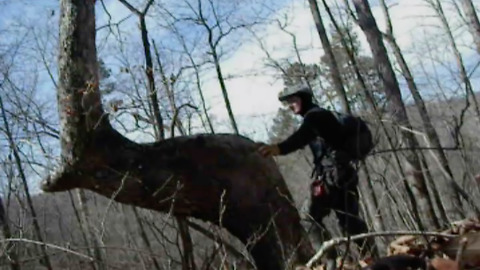 Indian Trail Tree Discovered Along Chattahoochee River In Georgia