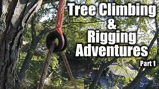 Tree Climbing and Rigging Adventures, Part 1