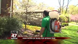Spring time is expected to be filled bugs, bugs and more bugs!