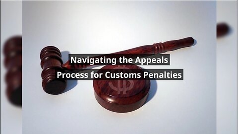 Is It Possible to Appeal Customs Decisions or Penalties?