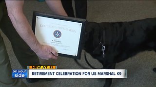 Retirement celebration for US Marshal K9