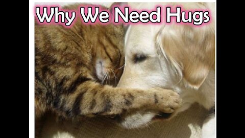 Why do we need Hugs?