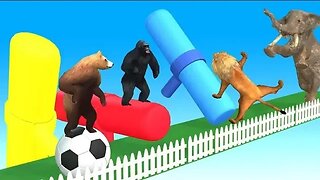 Racing Animals Choose Lucky With Box with Cow Gorilla Tiger Hippo Lion 3d funny Video