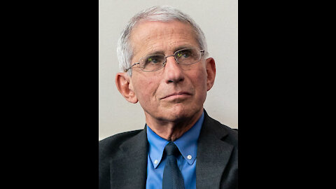 Dr Anthony Fauci Responds to Charges of Animal Abuse
