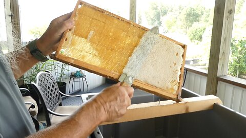 HONEY EXTRACTION