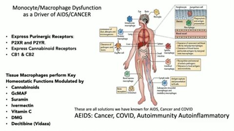 Dr. Judy Mikovits | What to Do If You Have Already Taken the COVID-19 Vaccine