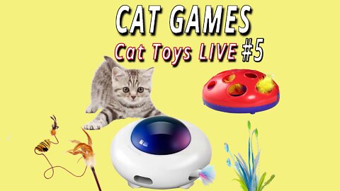 CAT GAMES: Cat Toys Live #5