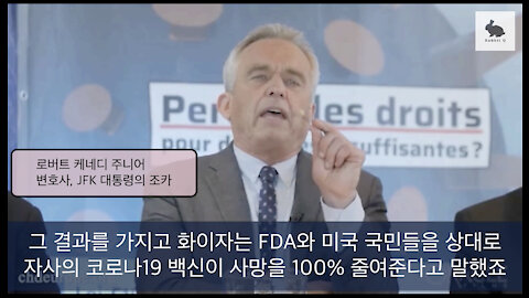 [흰토끼굴 백신 정보] '악마의 계산법' 제 2편 - 백신의 사망 예방 효율이 100%?