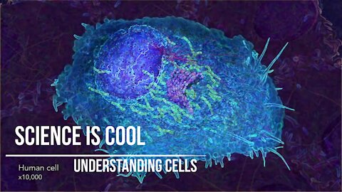 Science is cool - Understanding cells