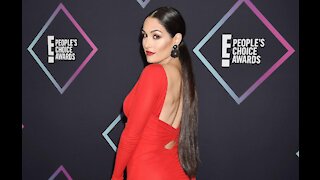 Nikki Bella couldn't wait to have sex again after giving birth!