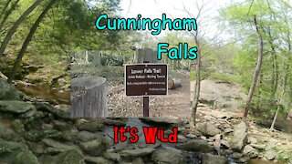 Cunningham Falls State Park – It’s Wild
