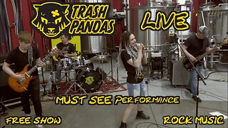 TRASH PANDAS - LIVE Performance