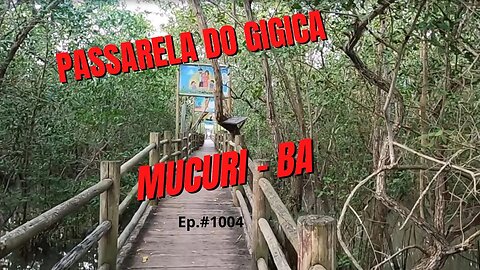 #1004 - Passarela Ecológica do Gigica - Mucuri (BA) - Expedição Brasil de Frente para o Mar