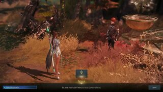Lost Ark MMORPG Song of the Setting Sun