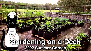 First Garden Ever at Rental House!!! Deck Garden Tour June 2022