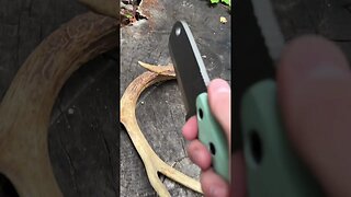 CLEAVER VS ANTLER | Shed Knives #shedknives #shorts