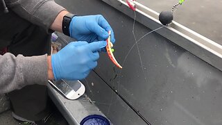 Salmon Trolling Tips | Baiting Brad's Super Baits With Tuna or MORE!