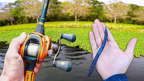 BED Fishing Ultra CLEAR Lake! (WE FOUND THEM)