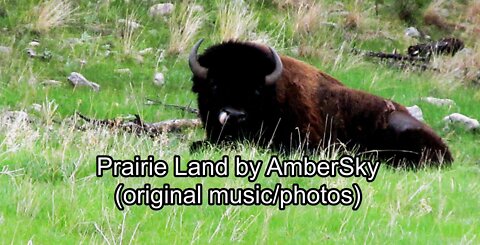 Prairie Land by AmberSky (original music/photos)