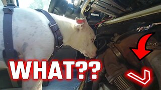 Look What A Mechanic Did To Our 7.3 Turbo (Finding Problems) | E-Series 7.3 Turbo Removal