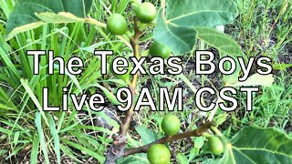 Texas Boys Live 9AM CST