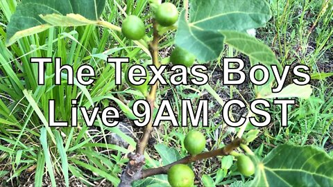 Texas Boys Live 9AM CST