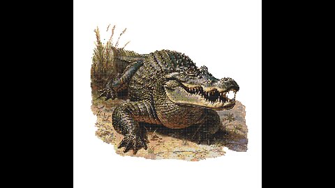 VINTAGE ALLIGATOR Cross Stitch Pattern by Welovit Cross Stitch | welovit.net | #welovit #crossstitch