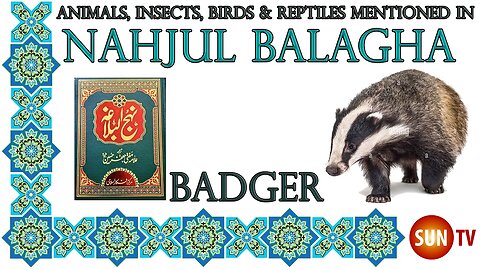 Badger - Animals, Insects, Reptiles & Amphibians in Nahjul Balagha (Peak of Eloquence)#imamali