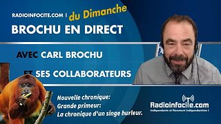 Brochu en direct