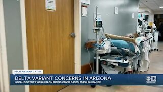 Delta variant concerns in Arizona