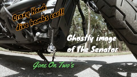 Bike Reveal | Big Tree Park / Cross Seminole Trail Parking | Longwood FL | See what's left!!